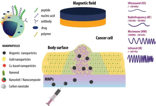 Figure  2.  Schematic  representation  of  cancer  thermal  therapy  using  the  combination  of  nanomaterials with various surface functionalization possibilities and different external heat sources