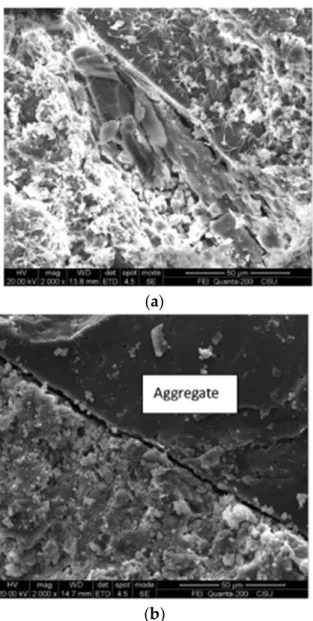 Figure 4. SEM images of (a) old ITZ in RCA; (b) carbonated RCA [36]. Reproduced with permission  from [36], Elsevier, 2018