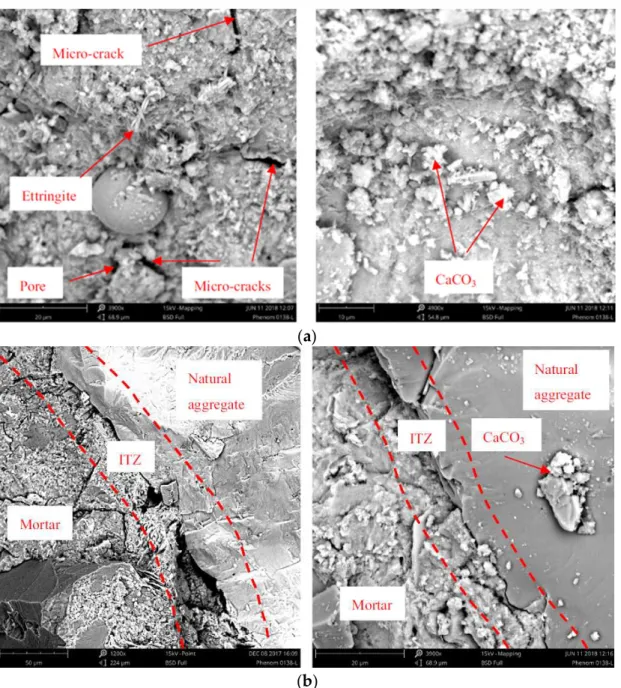 Figure 2.  SEM images of (a) attached mortar and (b) ITZ in RCA before and after treatment [6]