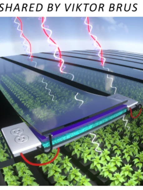 Fig. 1 A concept of selectively  transparent organic solar cells  integrated into a greenhouse.