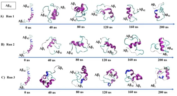 Figure  46.  Representative  snapshots  of  the  time-evolution  of  Aβ 42   peptide  monomer  structure in three runs of the system with no carbonaceous UFPs: A) Run 1, B) Run 2, C)  Run 3