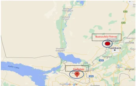 Figure 4. maps the distance from Bostandyk/Yntymak to Gulistan in Turkestan Oblast 