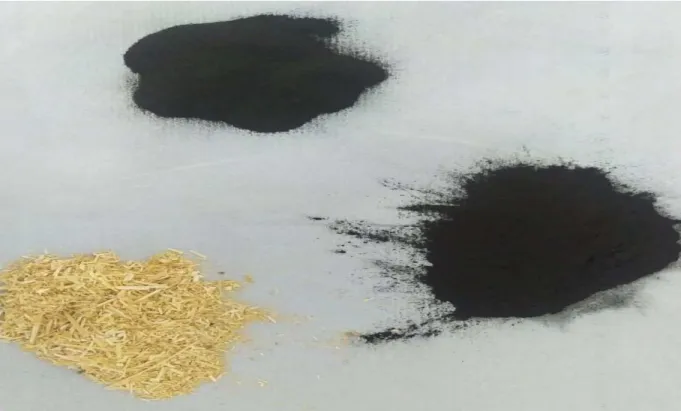 Figure 11. Samples of Shubarkol, Ekibastuz coals as well as wheat straw 