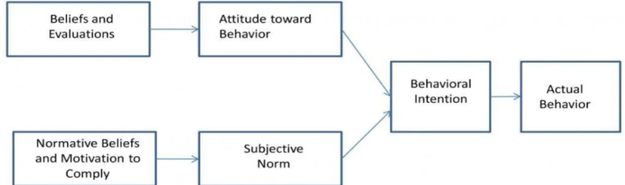 Figure 2.2:  Theory of Reasoned Action (Fishbein, M, & Ajzen 1980) 