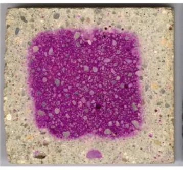 Figure 5 Concrete Section treated with phenolphthalein solution (Chinchón-payá, Andrade & Chinchón 2016) 