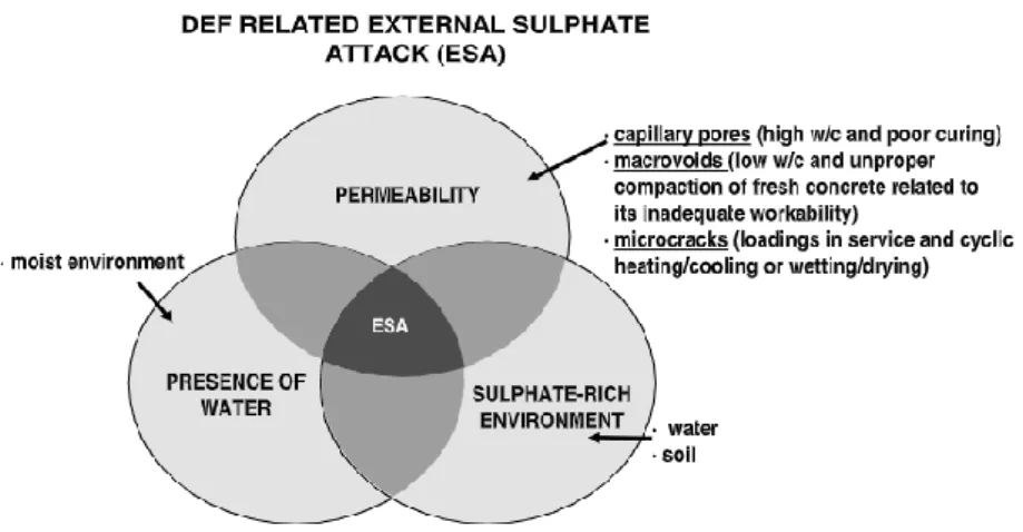 Fig. 8 (A) Delayed Ettringite Formation, DEF, related External Sulphate Attack, ESA  