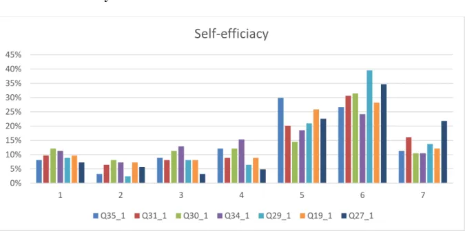 Figure 5. 10: Self-efficacy 