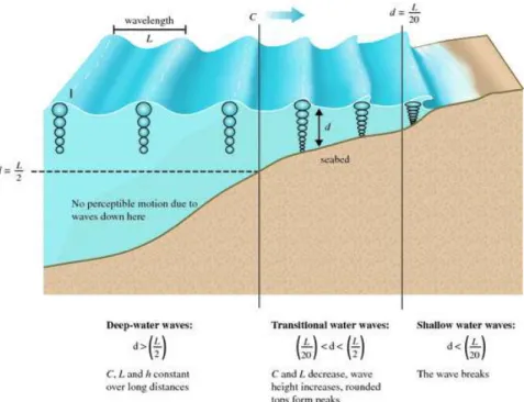 Figure 2.3 indicates that the highest orbits are on the surface of the water, having  both  the  highest  potential  and  kinetic  energy,  so  that  specific  systems  (e.g.,  wave  attenuators) in deep water will have a more substantial generation potent