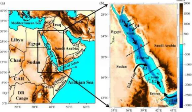 Figure 3.3 demonstrates the spatial distribution of winds in the Red Sea as the mean  wind speed (panels a, c) and maximum wind speed (panels b, d) during summer and  winter, respectively
