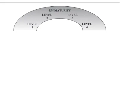 Figure 2.1 Risk Management Maturity Model: Phase One