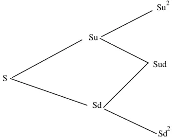 Figure 5.3: General Formulation for Binomial Price Path