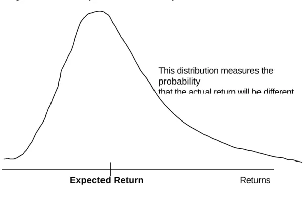 Figure 4.2: Probability Distribution for Risky Investment