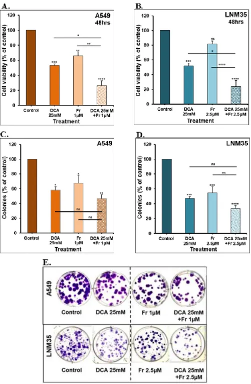 Figure  19:  Effect  of  DCA  in  Combination  with  Frondoside  A  on  NSCLC  Cells  Viability and Colony Growth