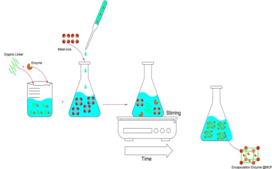 Figure 6: Scheme of encapsulation and preparation MOF@Enzyme 