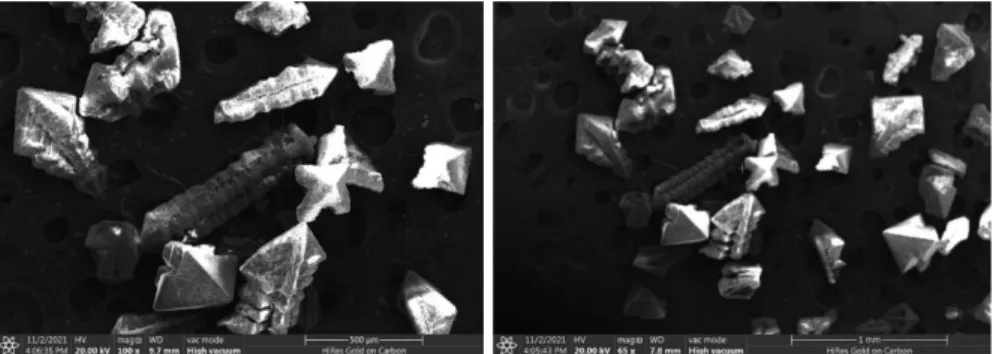 Figure 4: SEM images of Titanium-Oxo cluster 