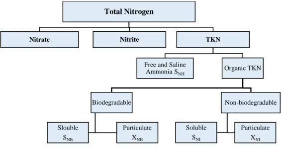 Figure 7: Total Nitrogen Fractionations (Melcer, 2003)  2.6 Sludge Reduction Approaches and Technologies 