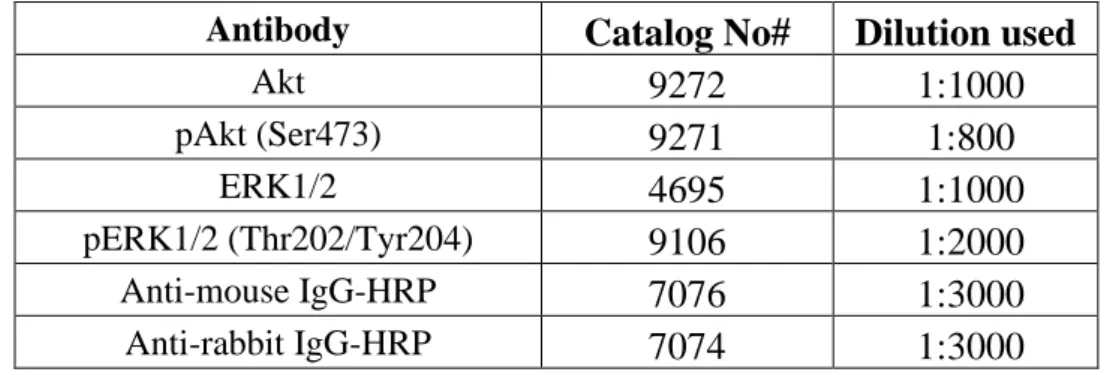 Table 5: List of antibodies used and their working dilutions  Antibody    Catalog No#  Dilution used 