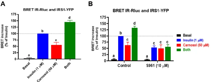 Figure 8: Effect of carnosol on the insulin receptor activation in HEK293 cells. HEK293  cells transiently co-expressing IR-Rluc (BRET donor) and IRS1-YFP (BRET acceptor)  were first treated or not 30 minutes with either insulin (1 uM), carnosol (50 uM), o
