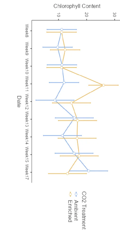 Figure  7:  Compari son  of  chloroph yll con tent  of R ho de s gra ss  gr ow n  un de r am bie nt a nd  e nri ch ed  CO 2