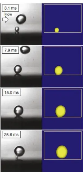 Figure 2: Simulation of bubble shape for single bubble during flow boiling in  comparison with experimental results [20]