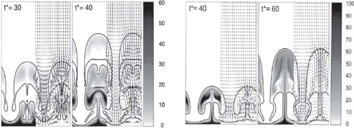 Figure 8: Simulations of film boiling domain using FT scheme. 