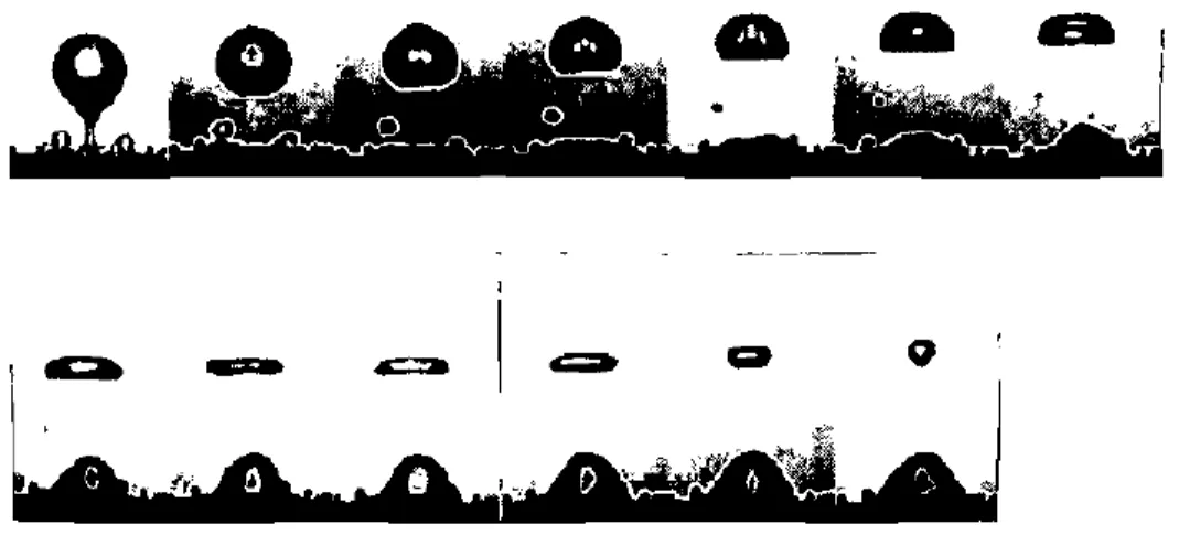 Figure 9: Bubble’s collapse history [42]. 