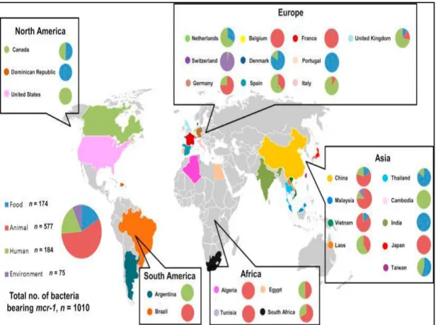 Figure 8: Global distribution of plasmid mediated mcr-1 colistin resistant strains  isolated from environment, food, animals and humans (Nov 2015 to April 2016) 