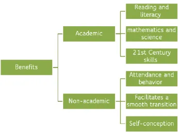 Figure 10: FSCEPs Benefits Derived from UAE Literature 