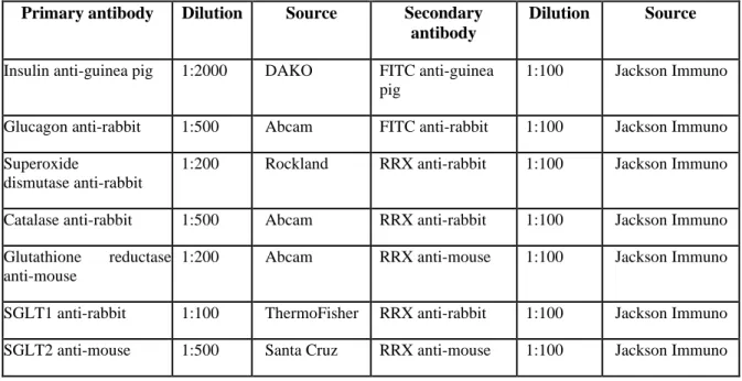 Table 1: Primary and secondary antibodies used in IHC for pancreatic tissues and their  dilution