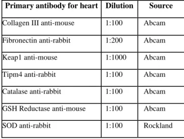 Table 2: Primary antibodies used in IHC for heart tissues and their dilutions 