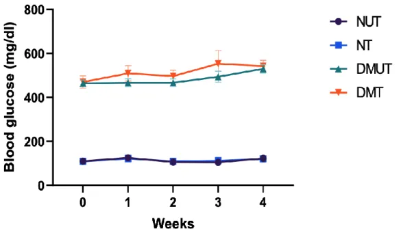 Figure 5: Effects of LIK066 on blood glucose levels in normal and diabetic animals. Time  course  graphs  representing  the  effect  of  LIK066  treatment  on  blood  glucose  levels  in  normal untreated, normal LIK066-treated, diabetic untreated, and dia