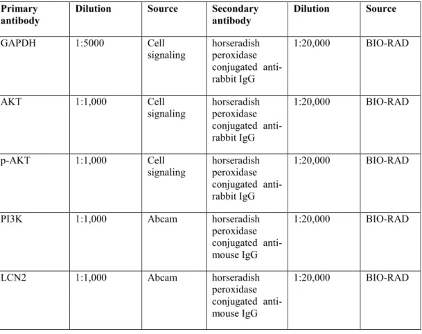 Table 3: Primary and secondary antibodies used in WB analysis and their dilutions. 