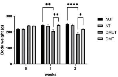 Figure 6: Effects of LCN2 treatment on weight in normal and diabetic animals. Note  significant differences in body weight between DMUT and DMT
