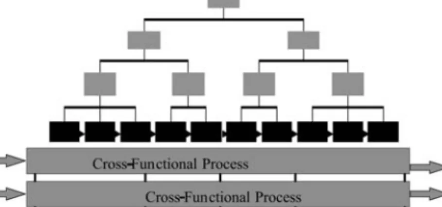 Figure 2.5  The “Silo” Suboptimization Phenomenon