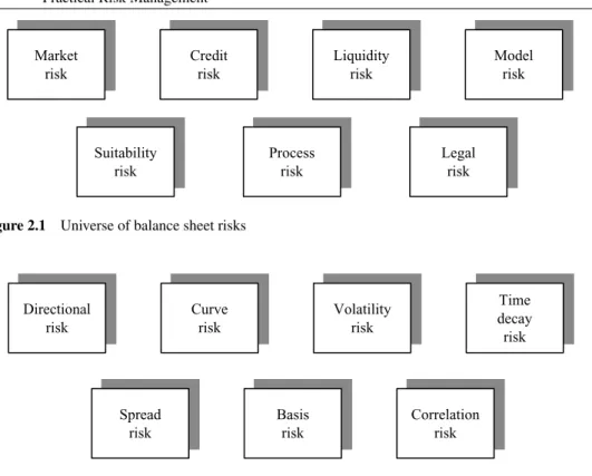 Figure 2.1 Universe of balance sheet risks