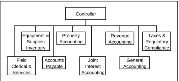 Figure 3-5:  Organization of the Accounting Function in an  Independent Company 
