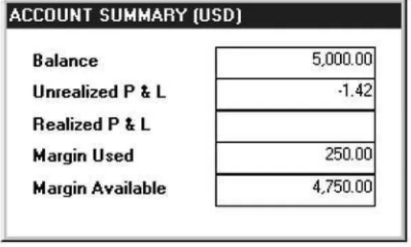 FIGURE 8.16 Account summary after market entry.