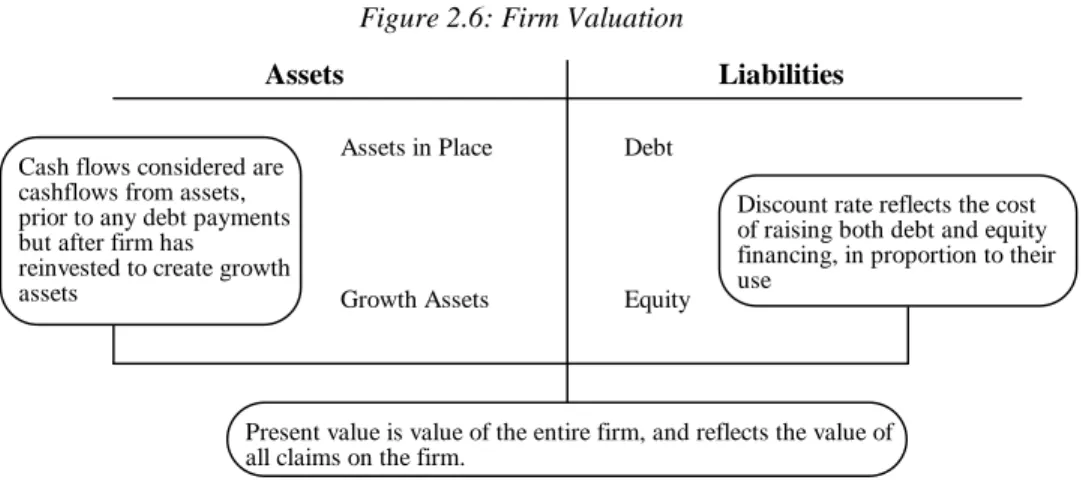 Figure 2.6: Firm Valuation
