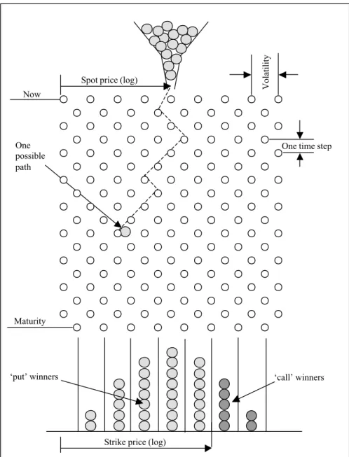 Figure 4.5 The quincunx as a proxy for options pricing