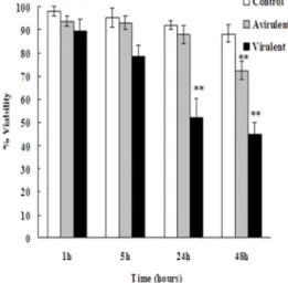Fig. 2: Viability of DCs infected by virulent and avirulent  L. pneumophila . Data presented as  the mean percentages of viable cells at each time point ± standard deviation