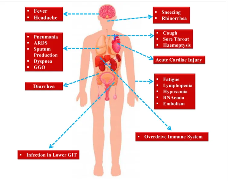 FIGURE 2 | Symptoms exhibited by nCOVID-19 patients.