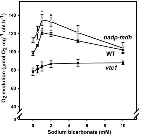 Figure 7.1.  Photosynthetic  performance  of  protoplasts  in  relation  to  varying  bicarbonate in WT, nadp-mdh and vtc1 mutants