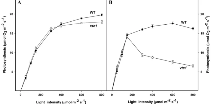 Figure 4.1. Photosynthetic oxygen evolution  by  leaf discs  from  WT and vtc1  mutants of Arabidopsis thaliana in response to increasing intensity of light in  the  absence  (A)  or  in  presence  (B)  of  preillumination
