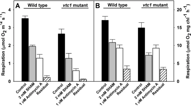 Figure  4.2.  The  respiratory  O 2  uptake  in  leaf  discs  (A)  or  mesophyll  cell  protoplasts (B) of WT and vtc1 mutant of Arabidopsis thaliana on exposure to  mitochondrial inhibitors (1 µM antimycin A or 2 mM SHAM)