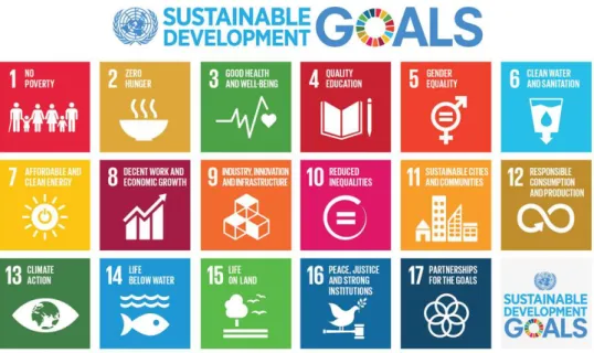 Figure 3: Sustainable Development Goals of UN