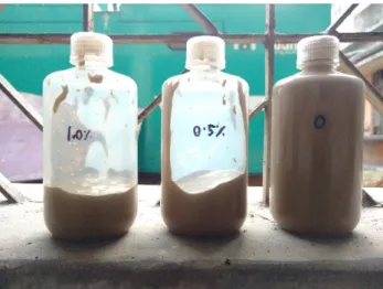 Figure 6Different concentration of soil &amp; biopolymer mix for pH test 