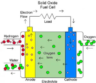 Figure 7. Schematic representation of a Solid oxide fuel cell  1.3.3 Anchoring of WO , SO  and MoO  on ZrO  surface  3 4 2- 3 2