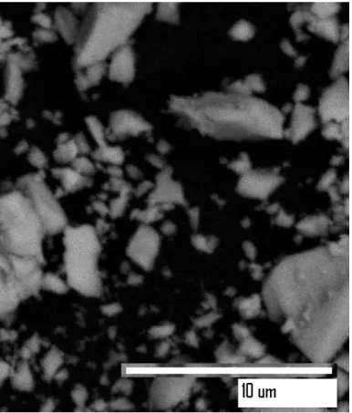 Figure 2. Scanning Electron Micrograph of 20MoZr catalyst.  