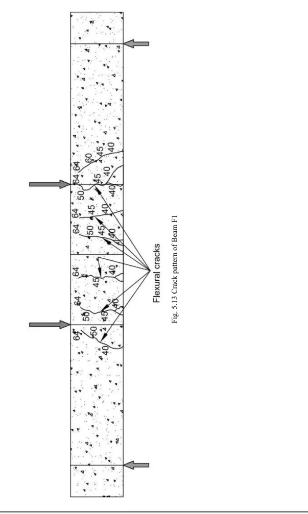 Fig. 5.13 Crack pattern of Beam F1