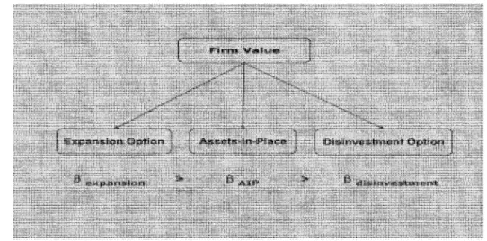 Figure 1.1:  A n a t o m y of Firm Value and Risk 